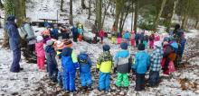 Kindergarten im Wald